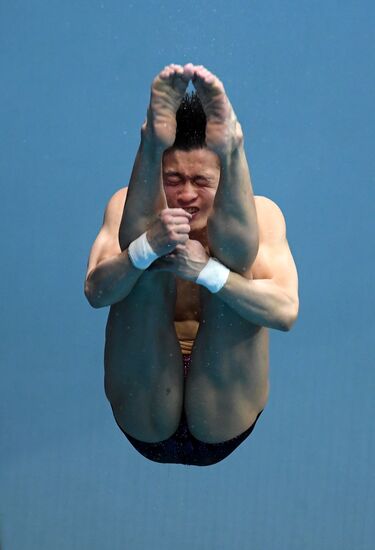 Diving. FINA Diving World Series. Day three