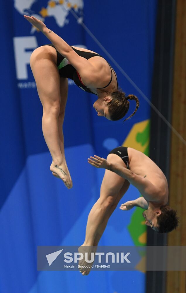 Diving. FINA Diving World Series. Day three