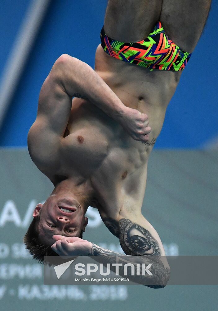 Diving. FINA Diving World Series. Day three