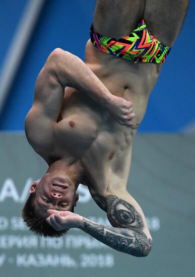 Diving. FINA Diving World Series. Day three