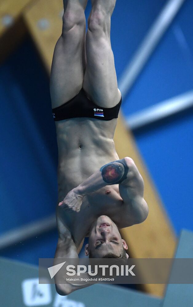 Diving. FINA Diving World Series. Day three