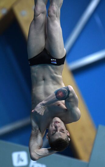 Diving. FINA Diving World Series. Day three