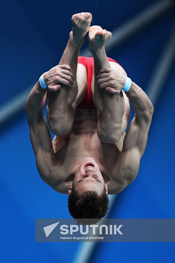 Diving. FINA Diving World Series. Day three