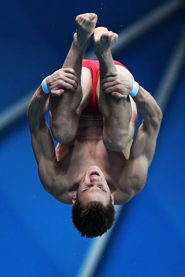 Diving. FINA Diving World Series. Day three