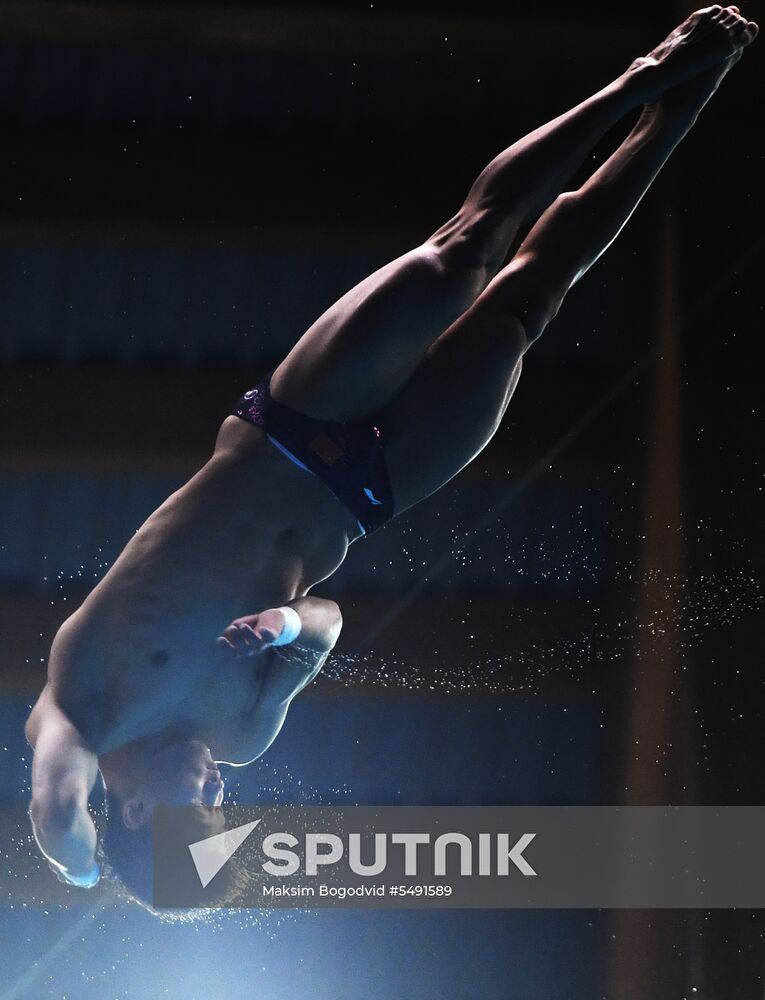 Diving. FINA Diving World Series. Day three