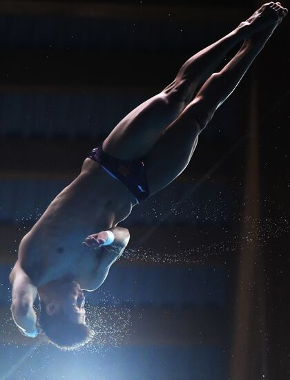 Diving. FINA Diving World Series. Day three