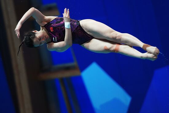 Diving. FINA Diving World Series. Day three