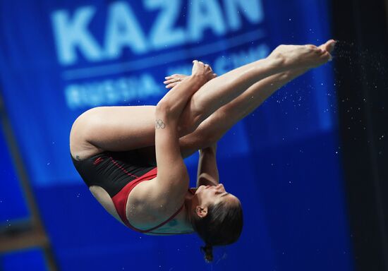 Diving. FINA Diving World Series. Day three