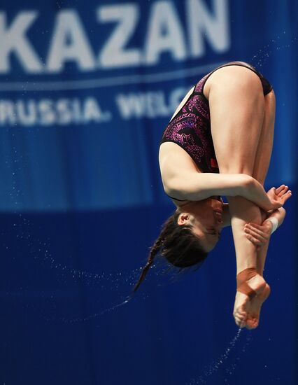 Diving. FINA Diving World Series. Day three