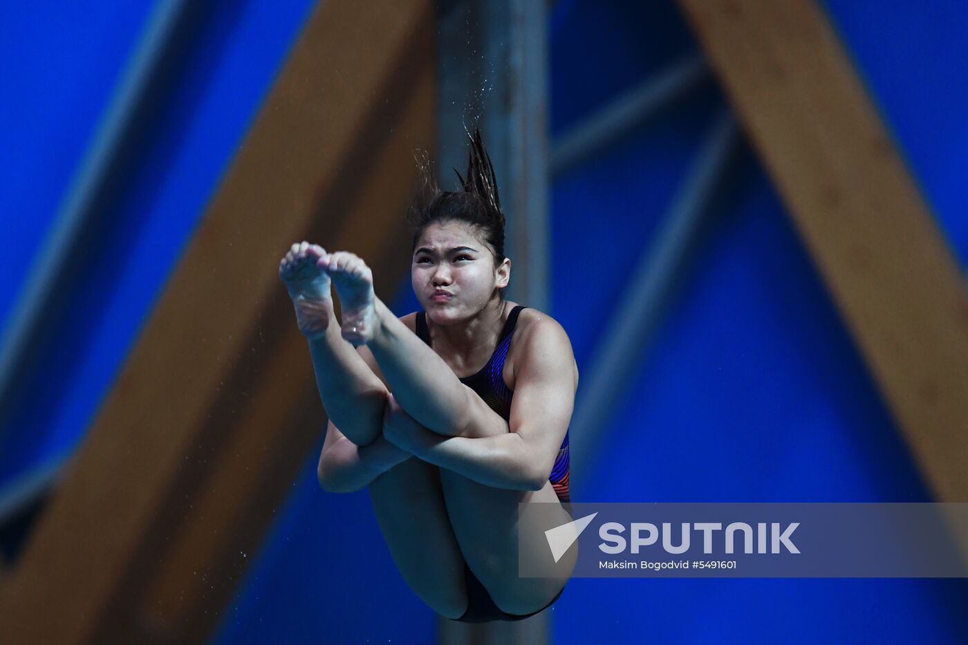 Diving. FINA Diving World Series. Day three