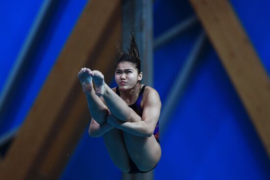 Diving. FINA Diving World Series. Day three