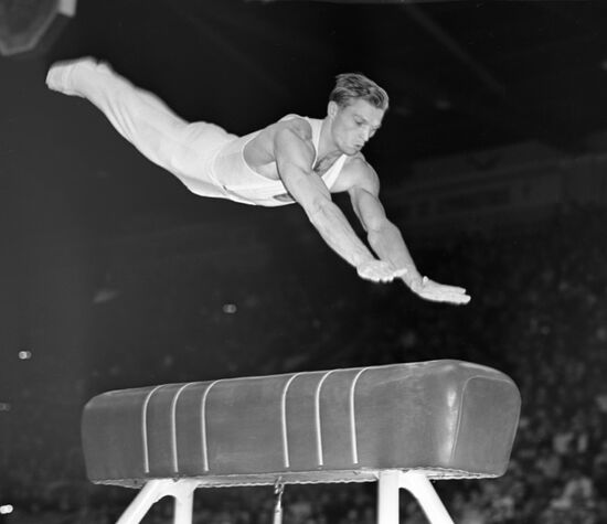 14th World Artistic Gymnastics Championships