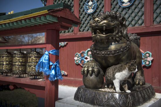 Buddhist monasteries in Buryatia