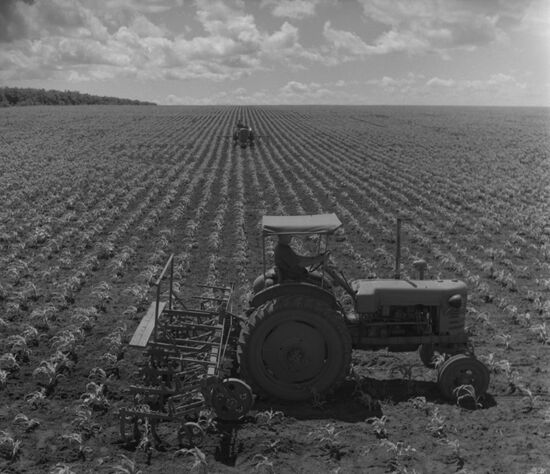 Rossiya collective farm
