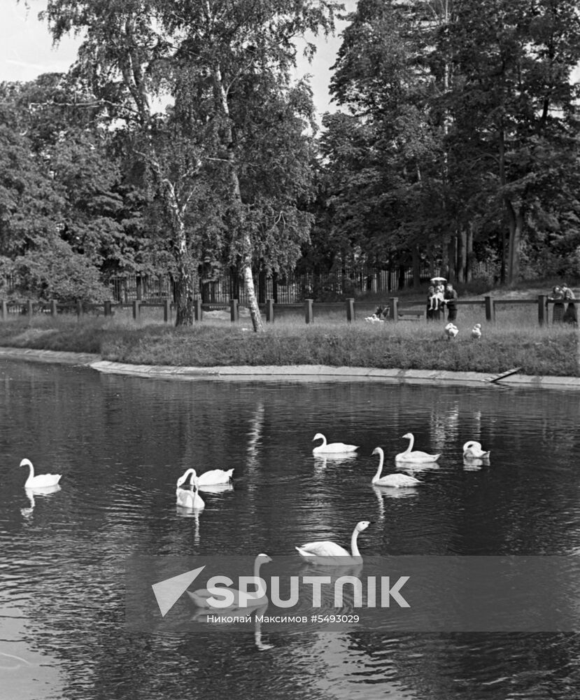 Sokolniki Park