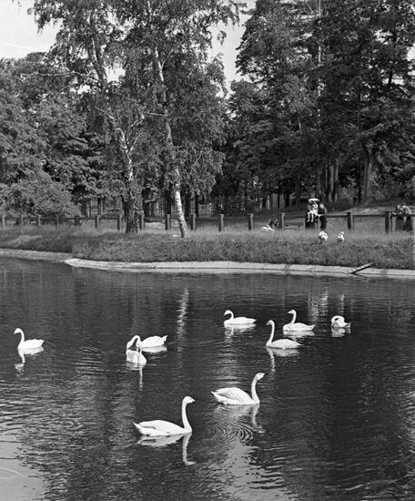 Sokolniki Park