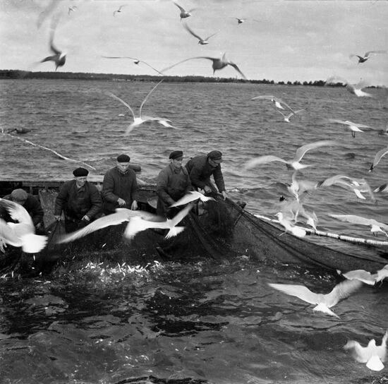 Kirov fishing cooperative