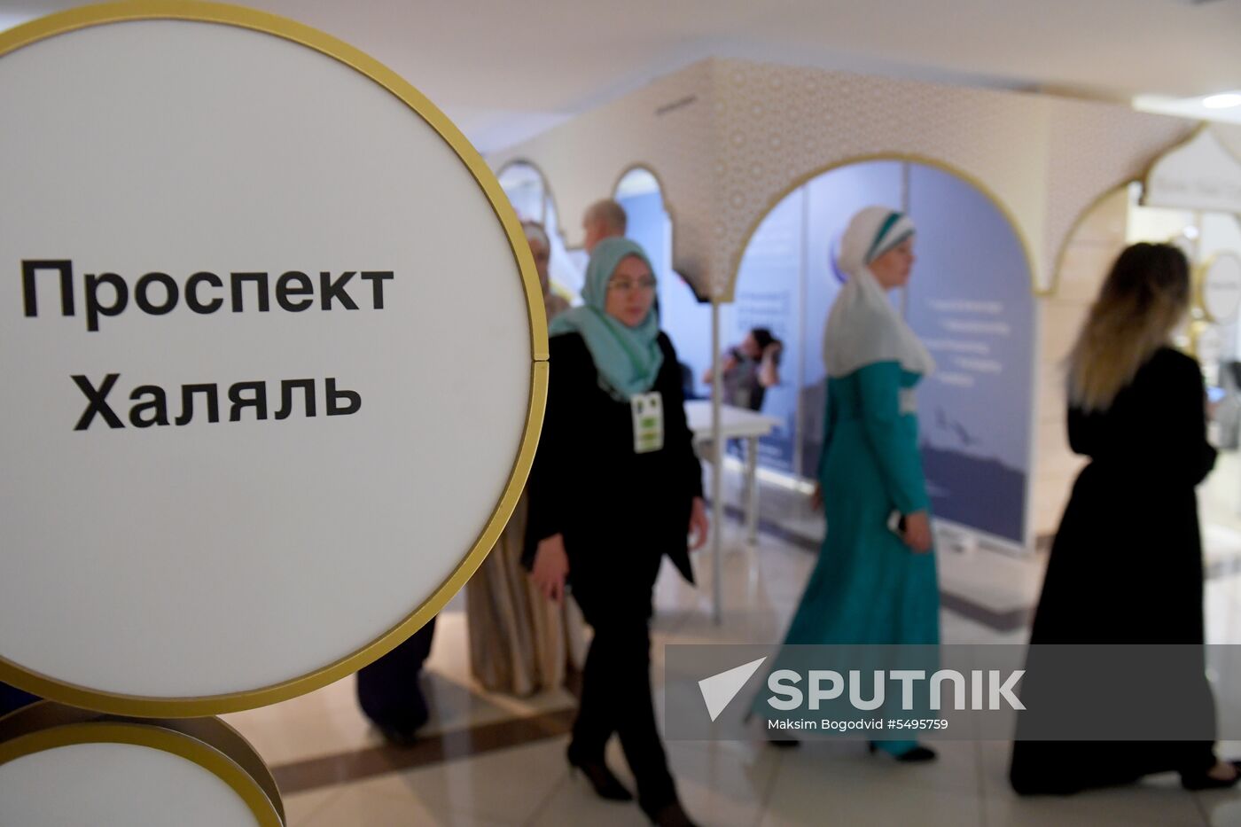 10th international economic summit, Russia — Islamic World: KazanSummit 2018. Day one
