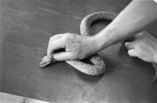 Herpetologist
