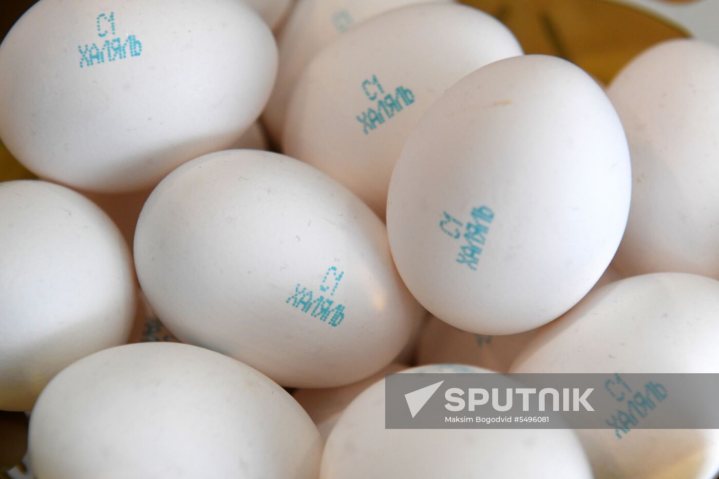 10th international economic summit, Russia — Islamic World: KazanSummit 2018. Day one