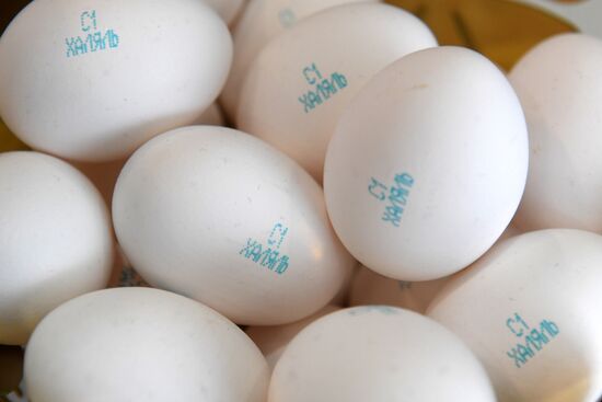 10th international economic summit, Russia — Islamic World: KazanSummit 2018. Day one