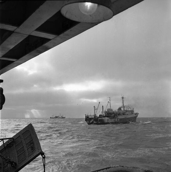 Large trawler-freezer Shturman Yelagin