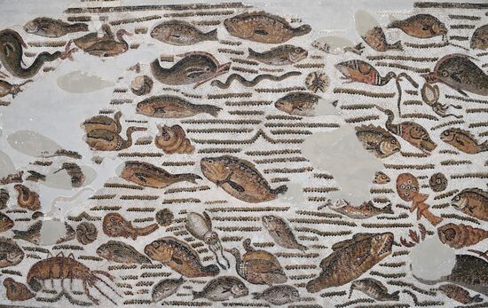 Bardo Museum in Tunisia