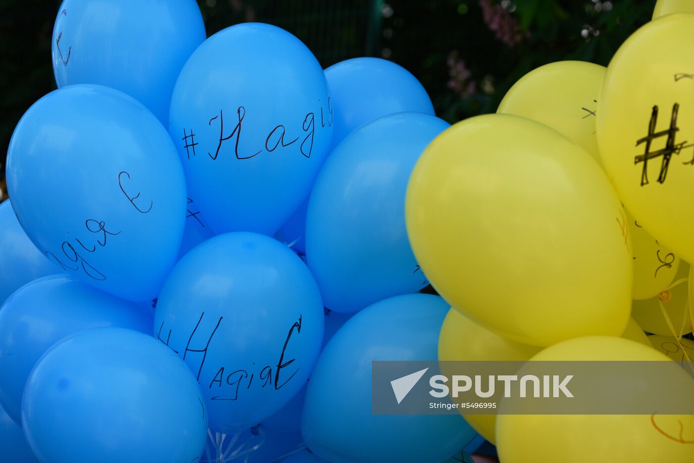 Rally in support of Nadezhda Savchenko in Kiev