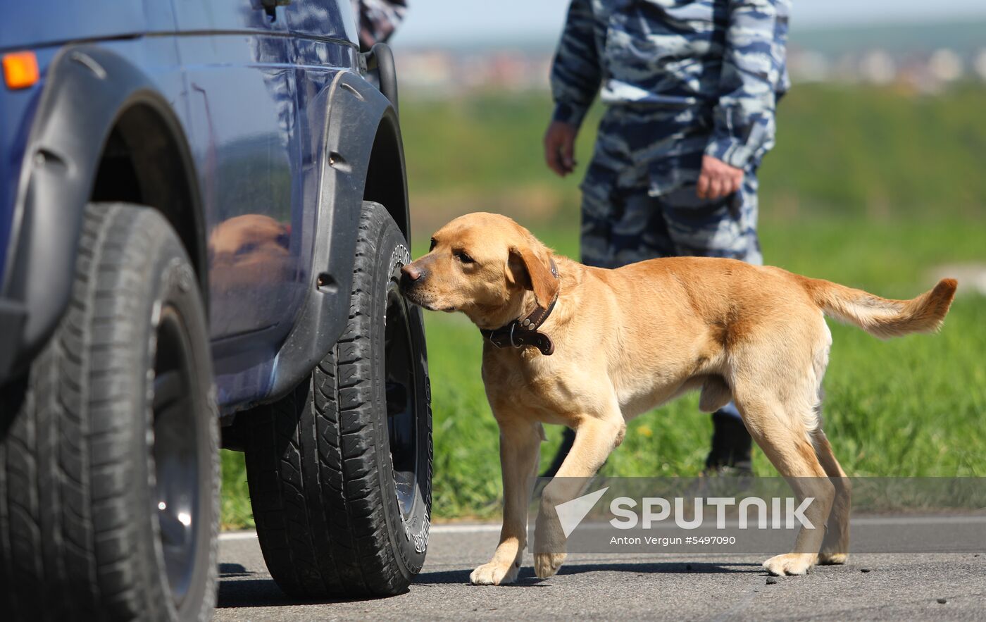 Canine teams competition in Belgorod Region
