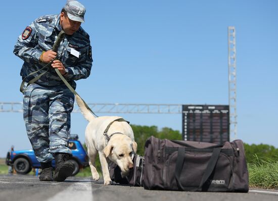 Canine teams competition in Belgorod Region