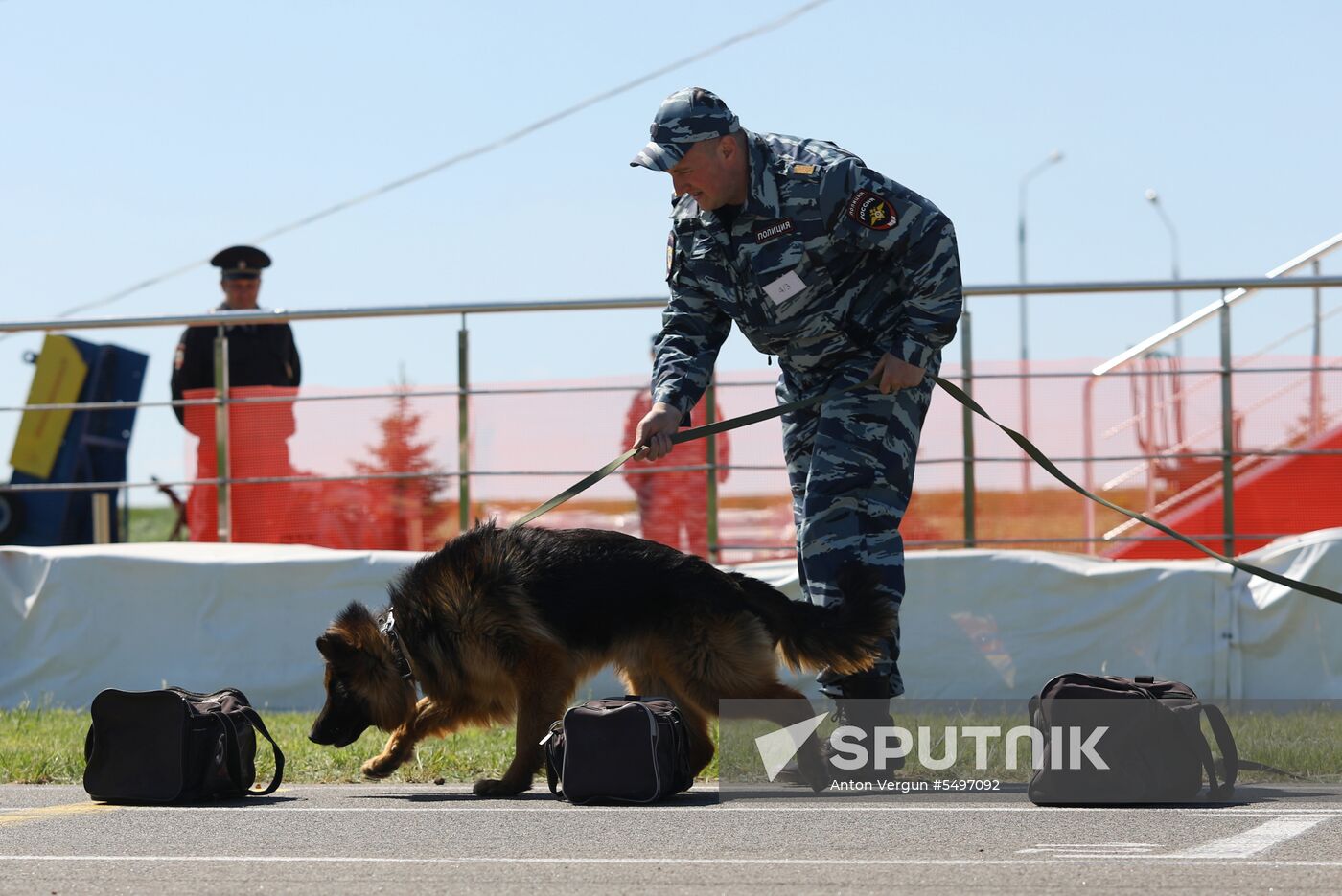Canine teams competition in Belgorod Region