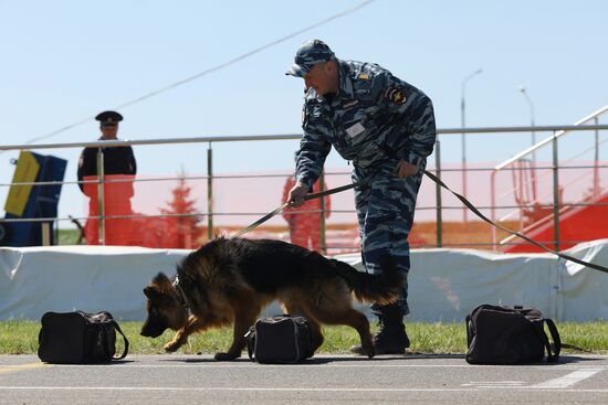 Canine teams competition in Belgorod Region