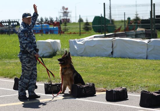 Canine teams competition in Belgorod Region