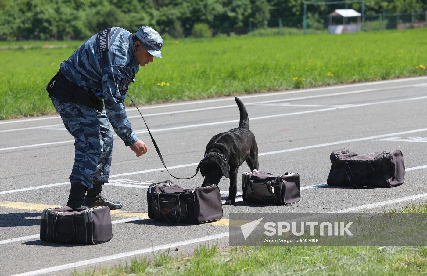 Canine teams competition in Belgorod Region