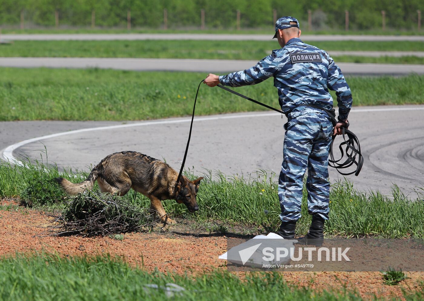Canine teams competition in Belgorod Region