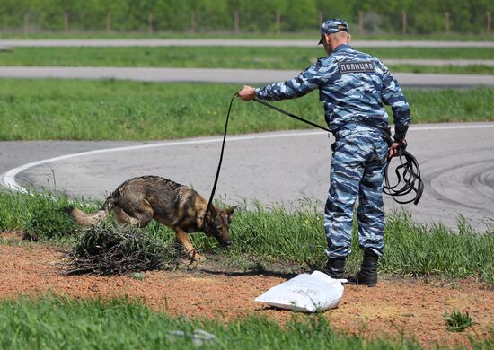 Canine teams competition in Belgorod Region
