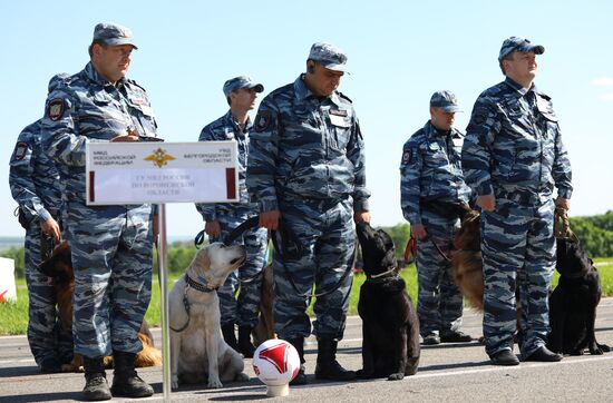 Canine teams competition in Belgorod Region