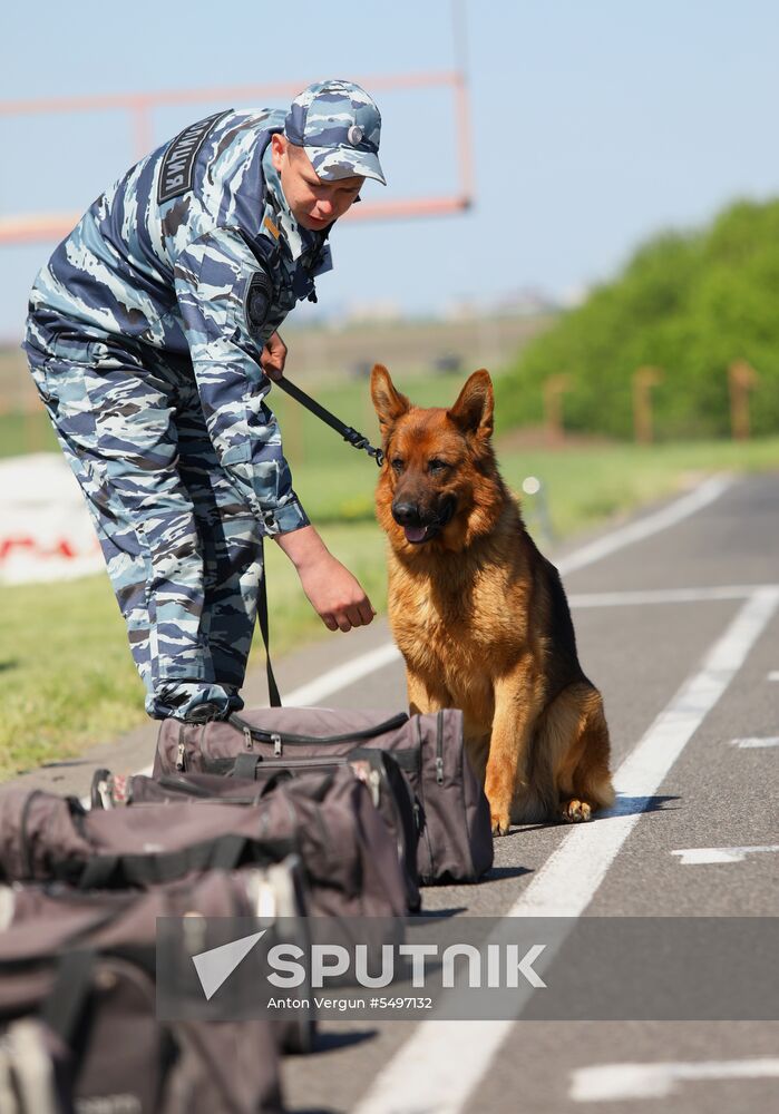 Canine teams competition in Belgorod Region
