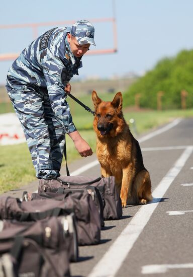 Canine teams competition in Belgorod Region