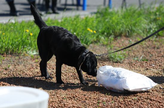 Canine teams competition in Belgorod Region