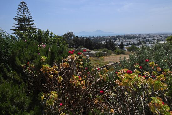 Countries of the world. Tunisia