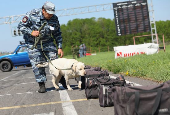 Canine teams competition in Belgorod Region
