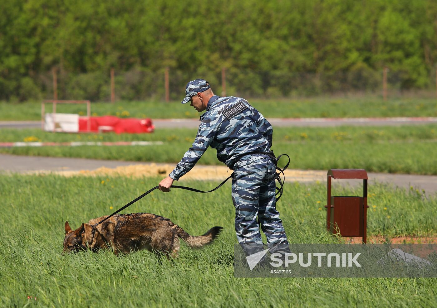 Canine teams competition in Belgorod Region
