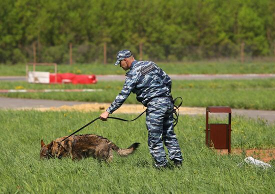 Canine teams competition in Belgorod Region