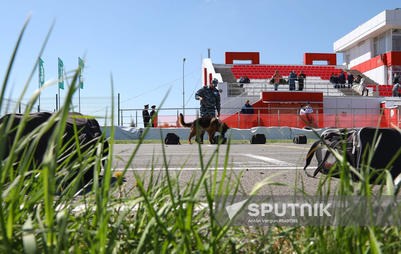 Canine teams competition in Belgorod Region