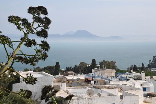Countries of the world. Tunisia