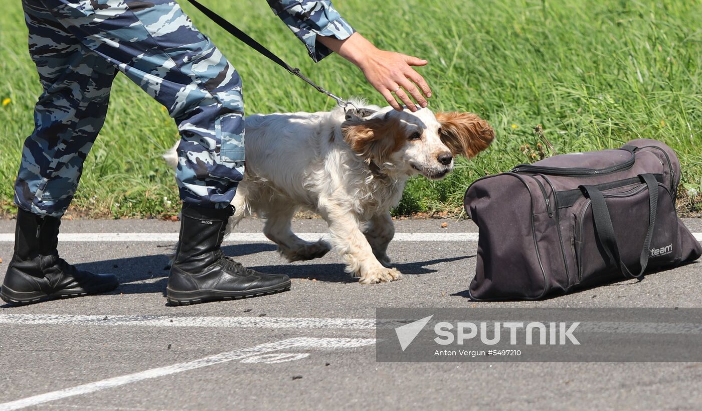 Canine teams competition in Belgorod Region