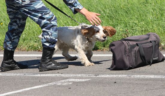 Canine teams competition in Belgorod Region