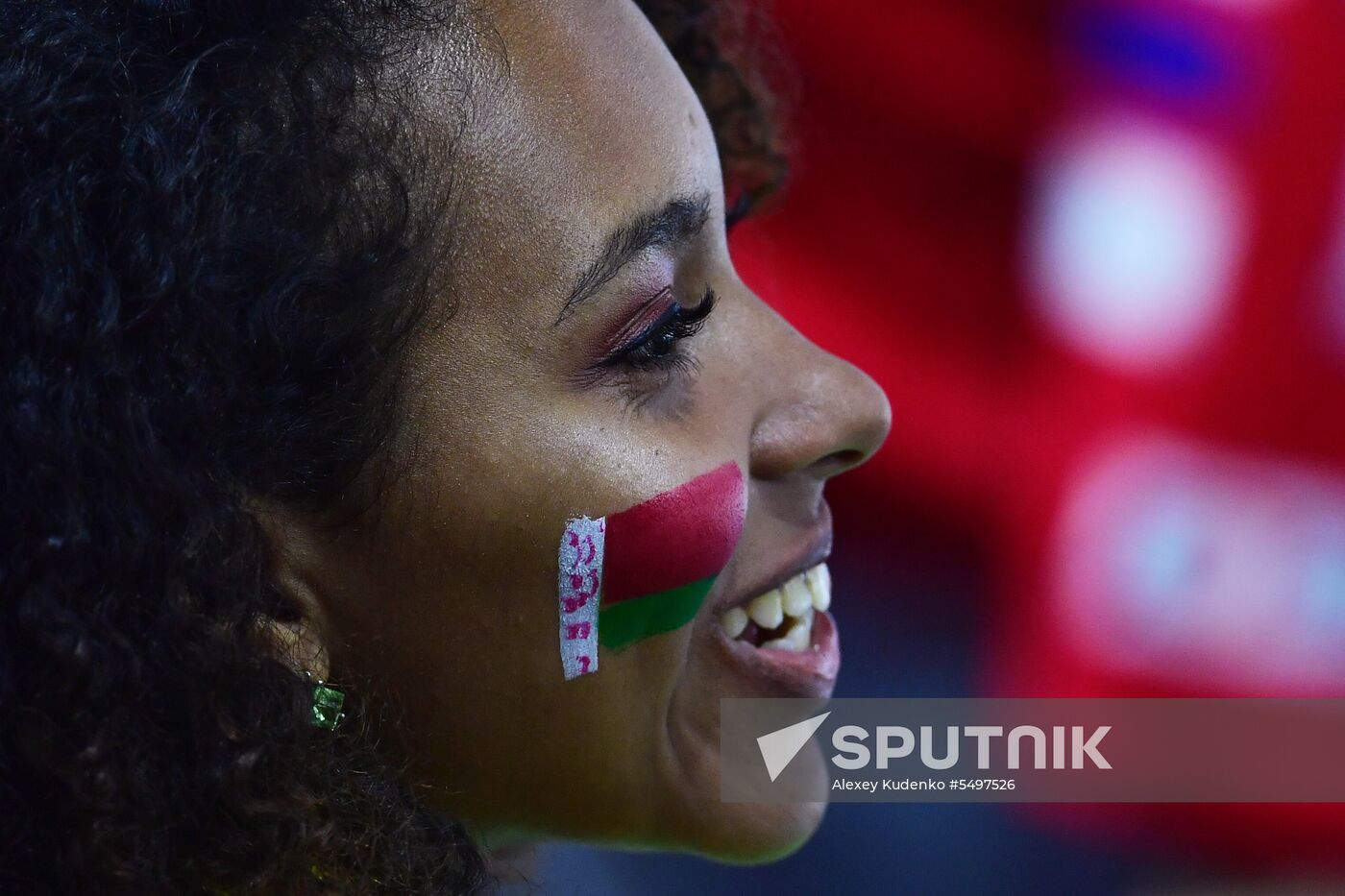 Ice hockey. 2018 IIHF World Championship. Belarus vs. Czech Republic