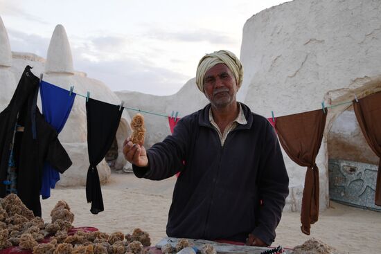 Countries of the world. Tunisia